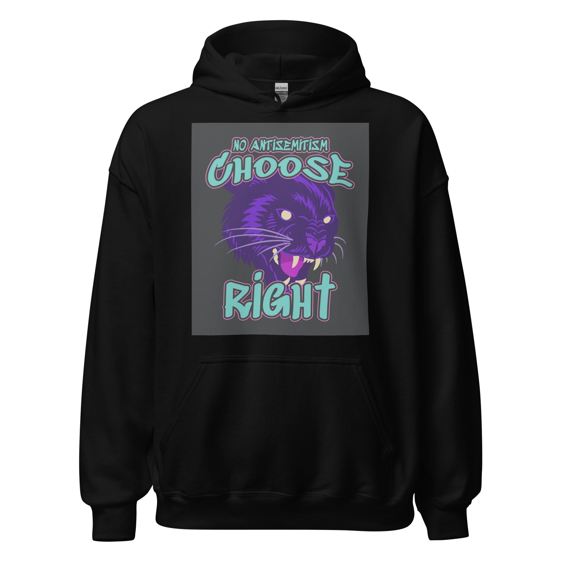 Choose Right | Antisemitism | Unisex Hoodie