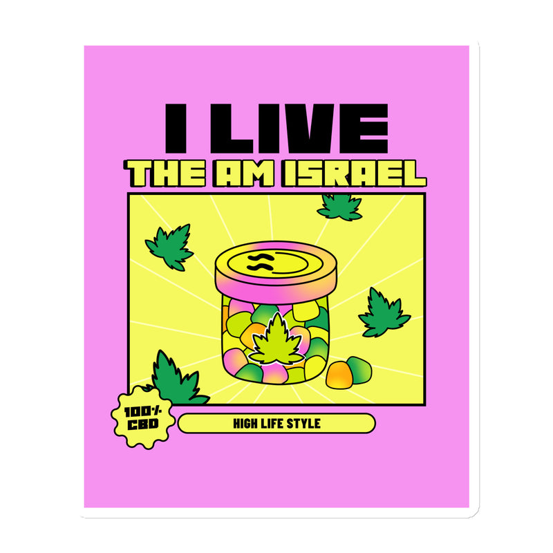 Am Israel High | Die-Cut Magnets