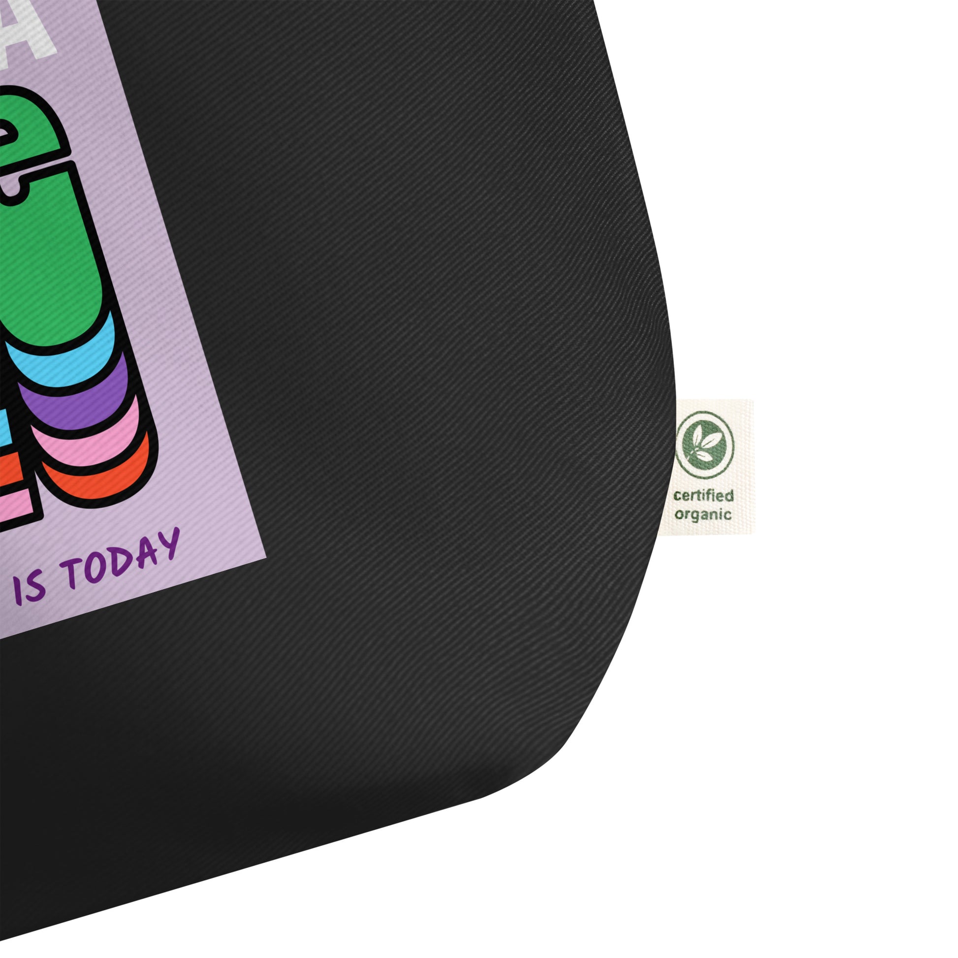 Bad Idea | Antisemitism | Large Organic Tote Bag