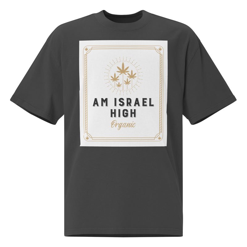 Am Israel High | Unisex Oversized Faded T-Shirt
