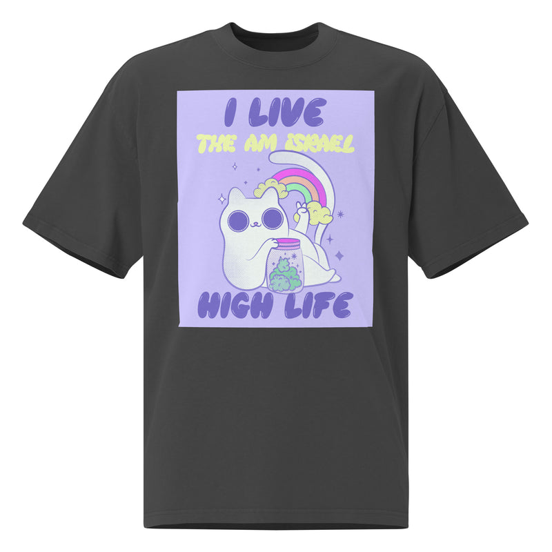 Am Israel High | Unisex Oversized Faded T-Shirt