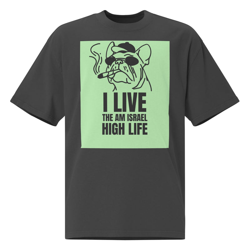 Am Israel High | Unisex Oversized Faded T-Shirt