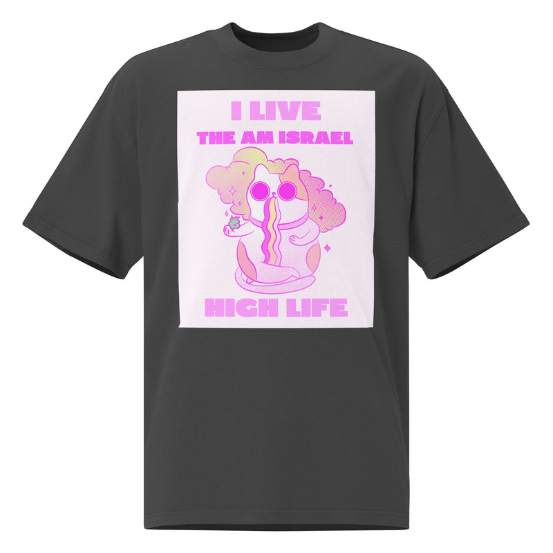 Am Israel High | Unisex Oversized Faded T-Shirt