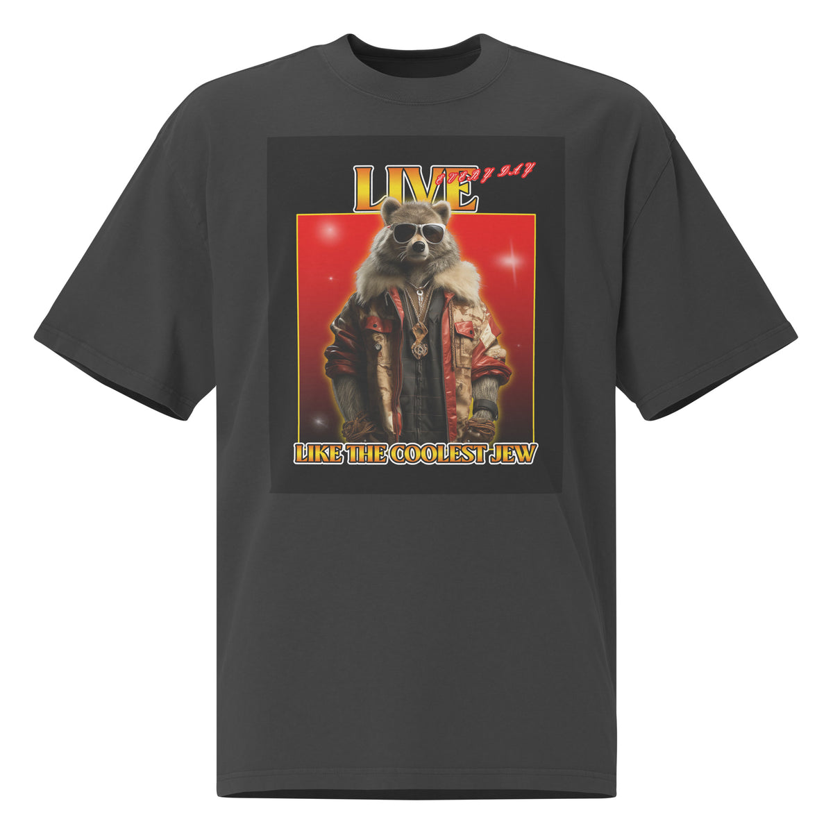 Mr Racoon | Unisex Oversized Faded T-Shirt Jouparty