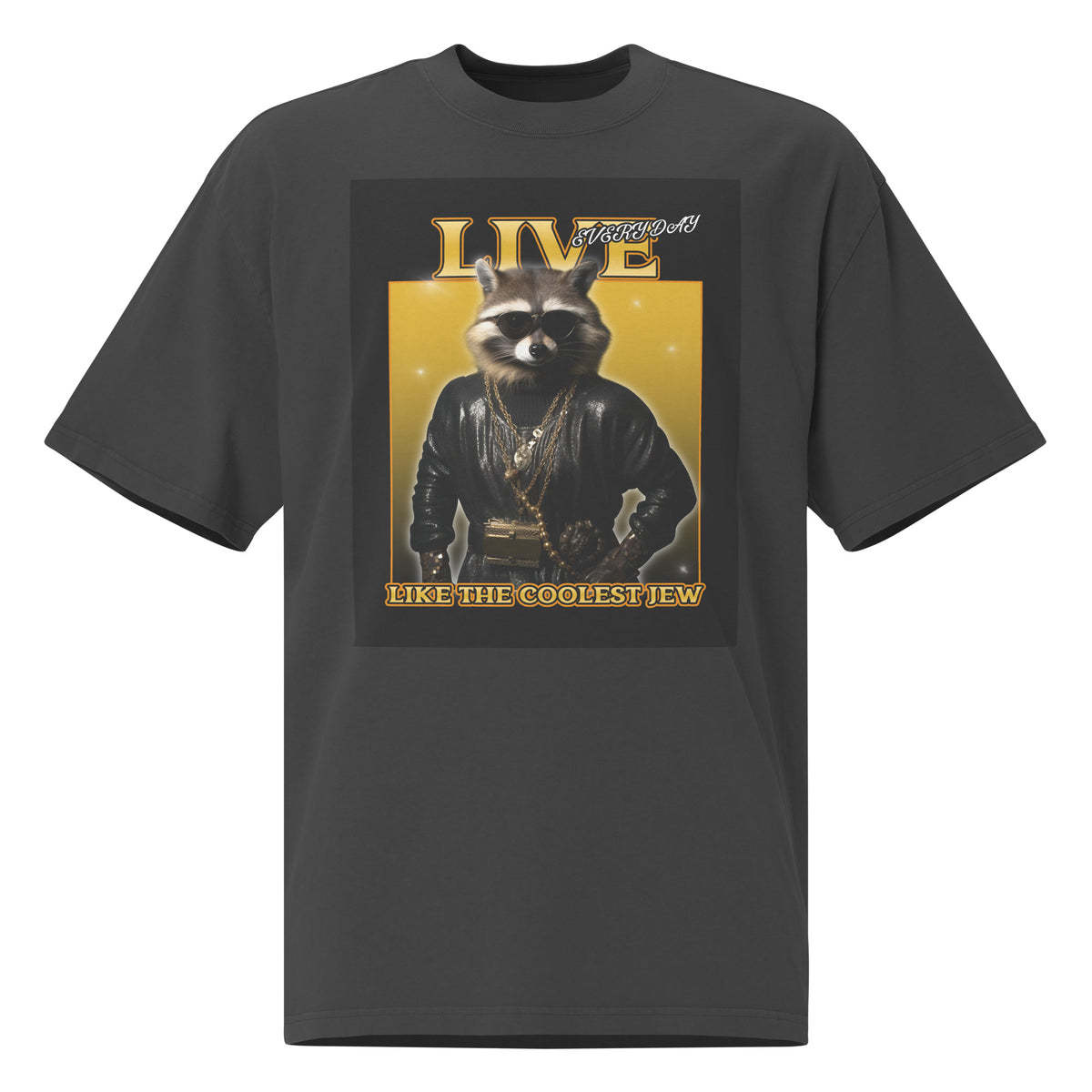 Mr Racoon | Unisex Oversized Faded T-Shirt Jouparty