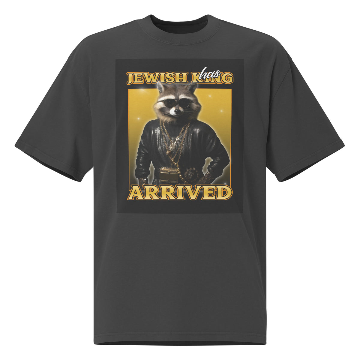 Mr Racoon | Unisex Oversized Faded T-Shirt Jouparty