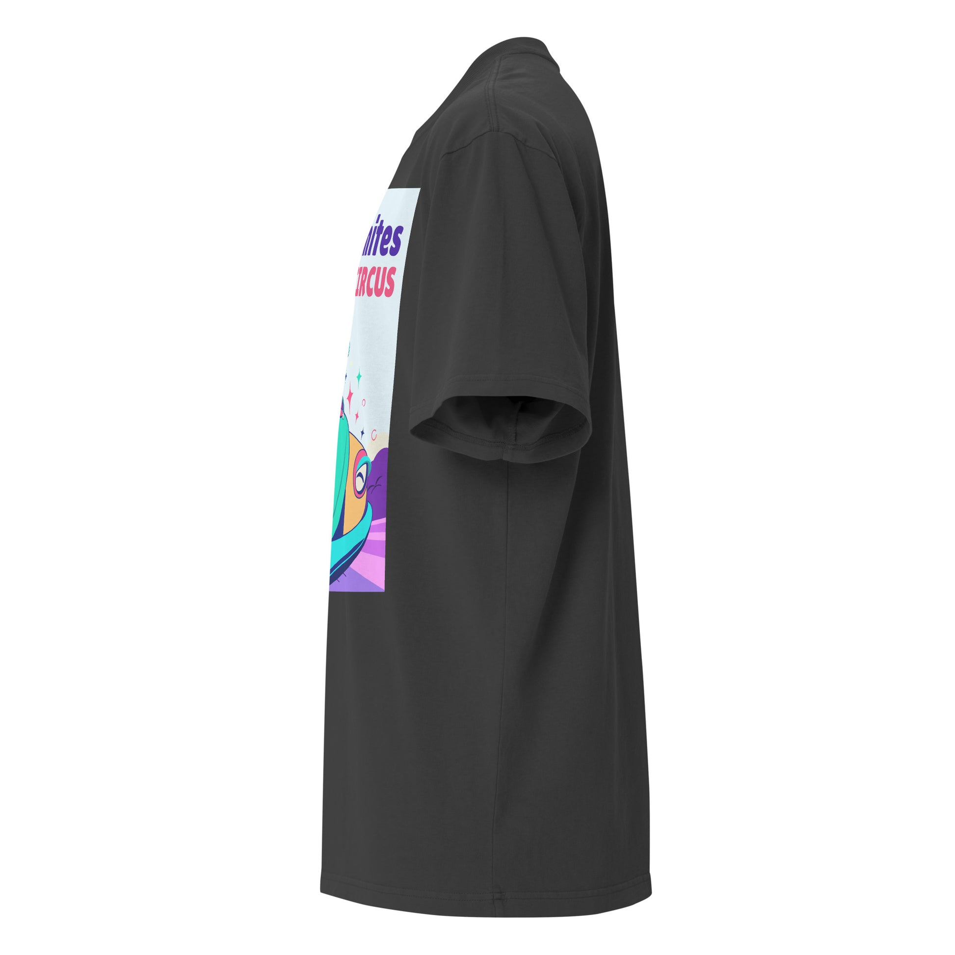 Antisemitic Clowns | Unisex Oversized Faded T-Shirt