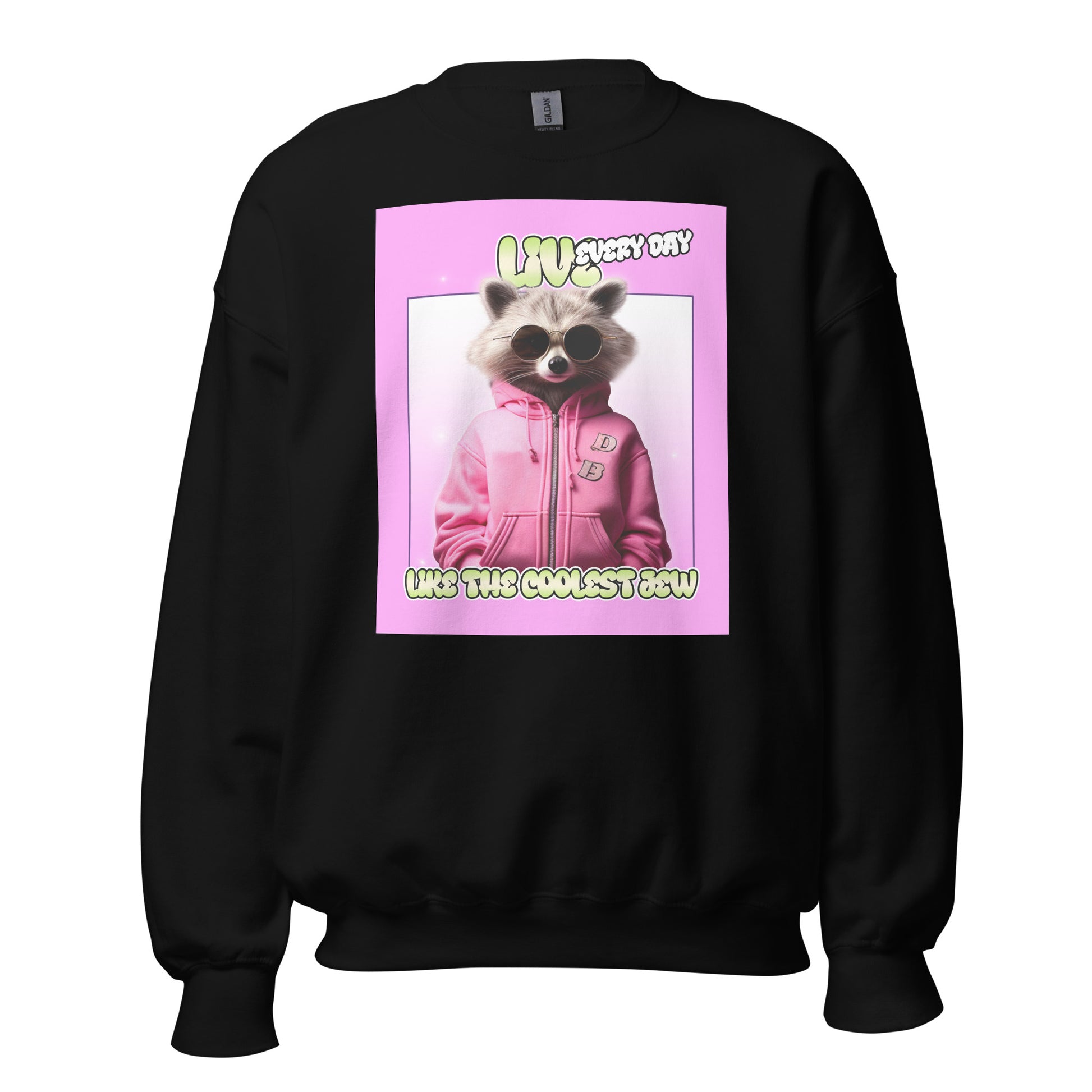 Mr Racoon | Unisex Sweatshirt Jouparty