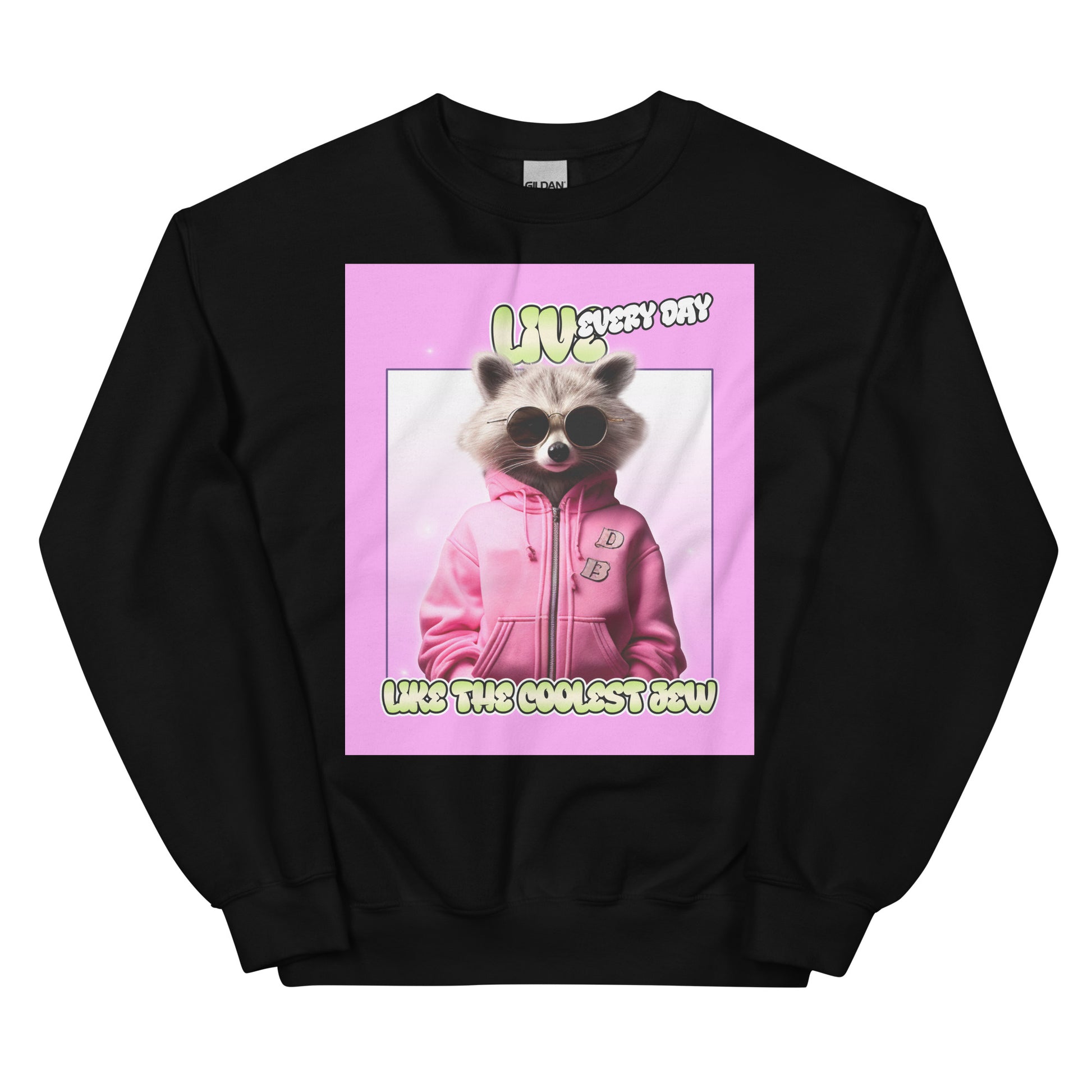 Mr Racoon | Unisex Sweatshirt Jouparty