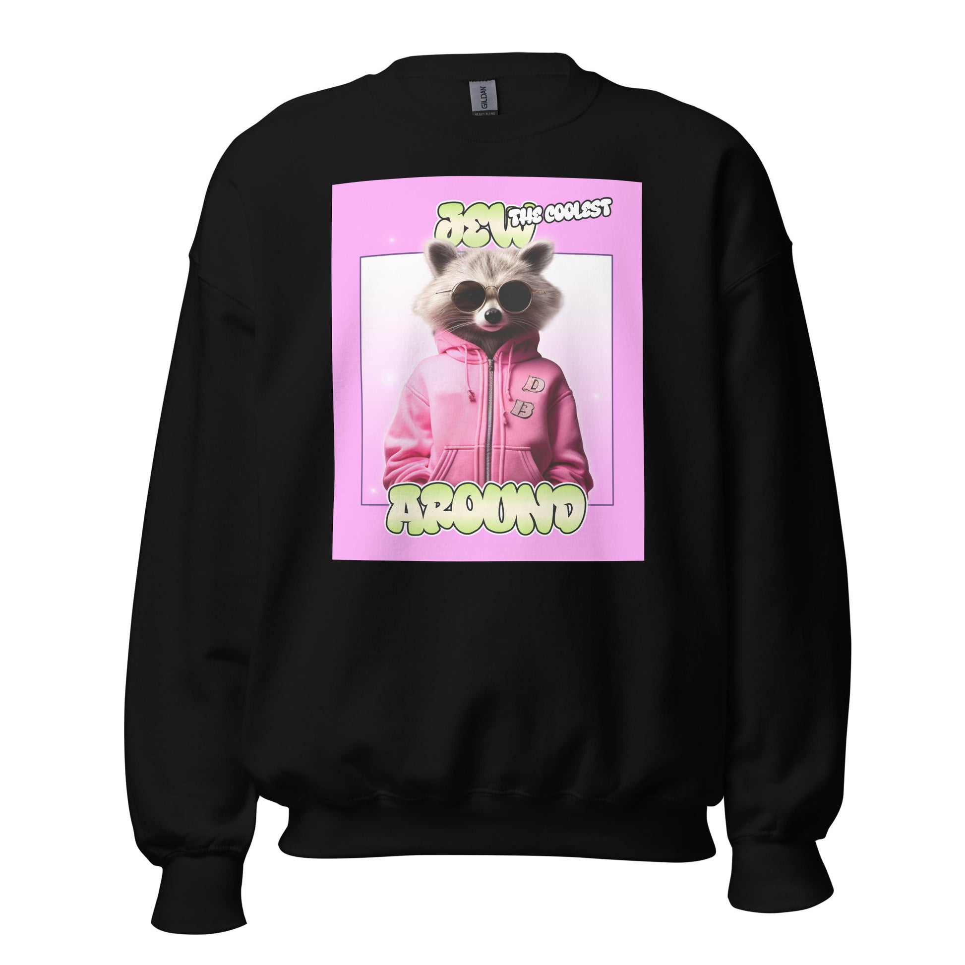 Mr Racoon | Unisex Sweatshirt Jouparty