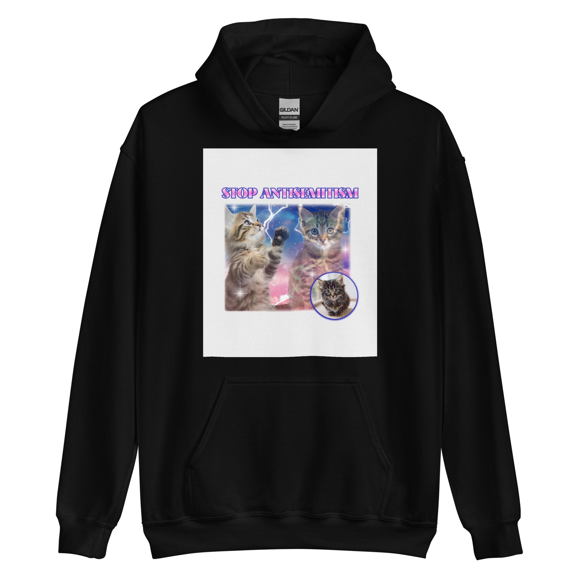 Sweet Cats | Antisemitism | Unisex Hoodie